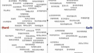 한 짤로 요약하는 AV 여배우 분류표