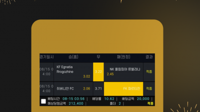 [겜블][뽀룩이][10.62배] 당첨내역
